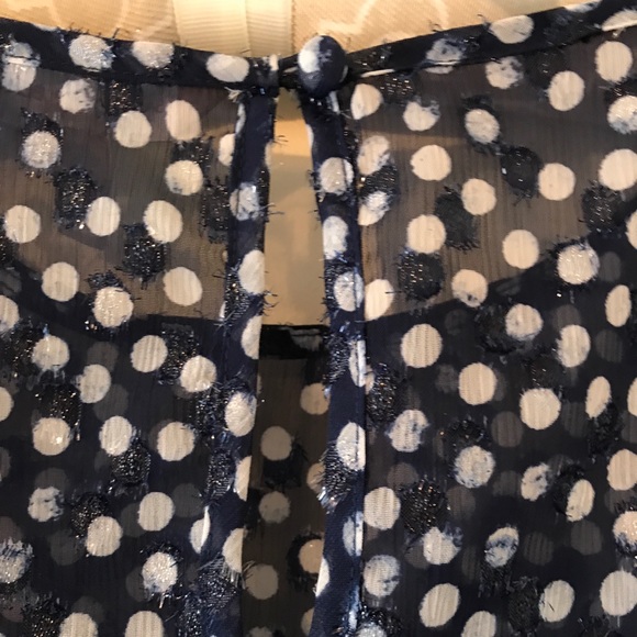 Banana Republic sheer blouse - Picture 7 of 8